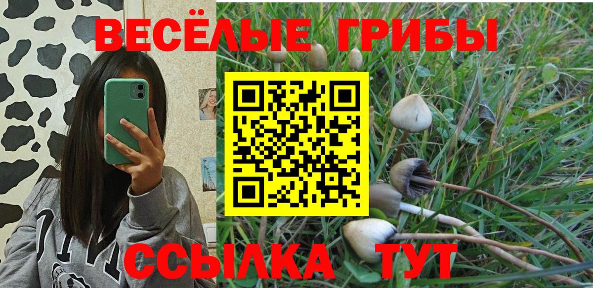 Борисоглебск  Псилоцибиновые грибы Cubensis  Вход с VPN 