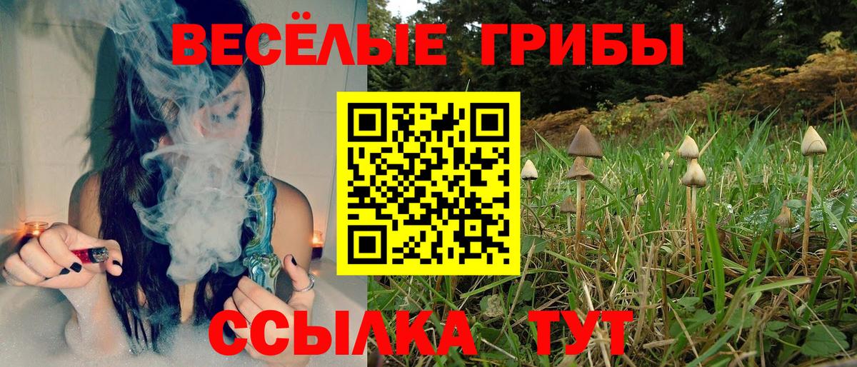 Псилоцибиновые грибы прущие грибы Борисоглебск